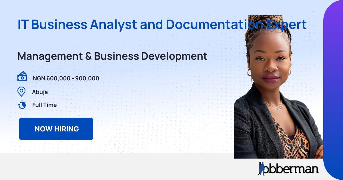 It Business Analyst And Documentation Expert
